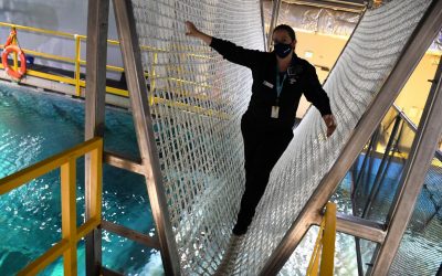 THE DAILY MIX- Shark Canyon at the St. Louis Aquarium
