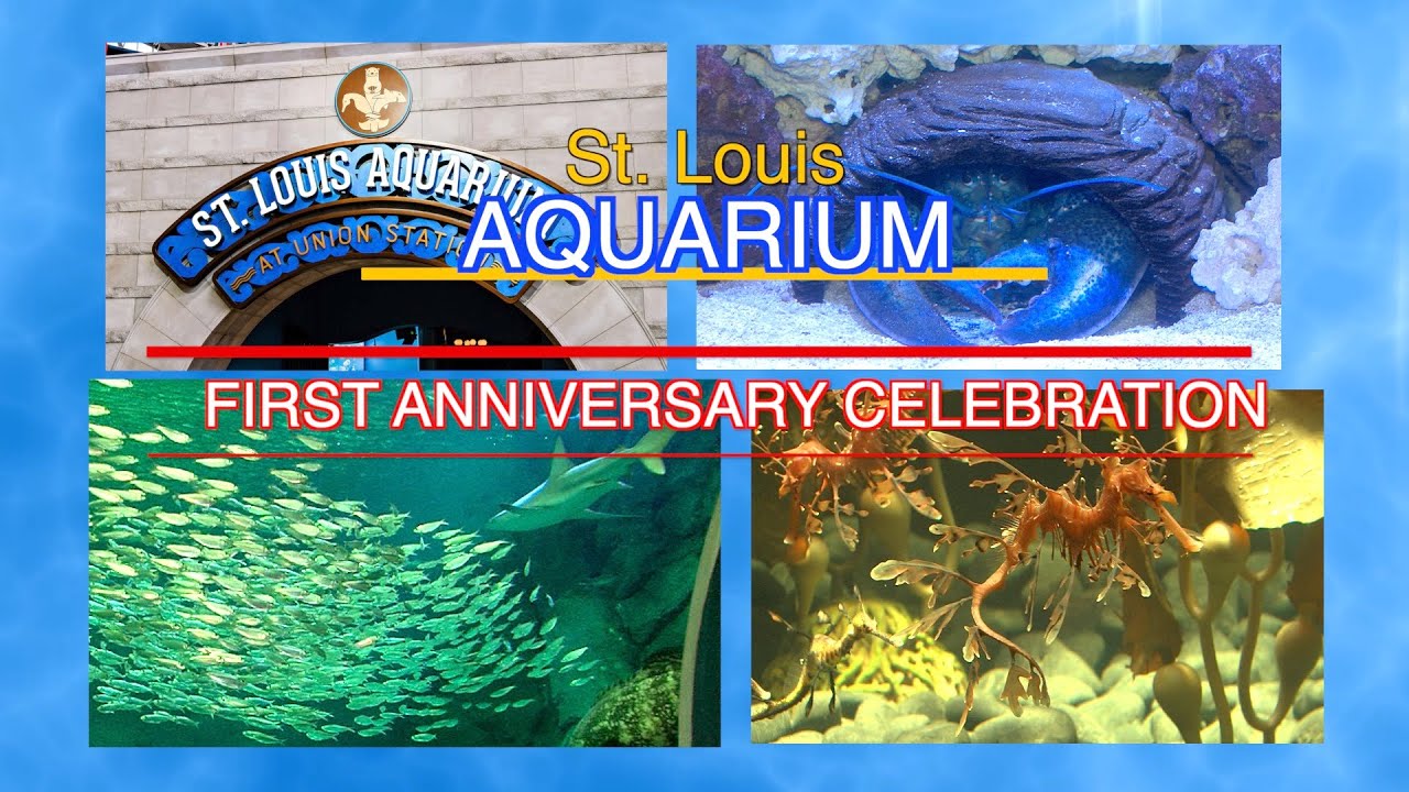aquarium anniv