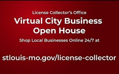Virtual City Business Open House